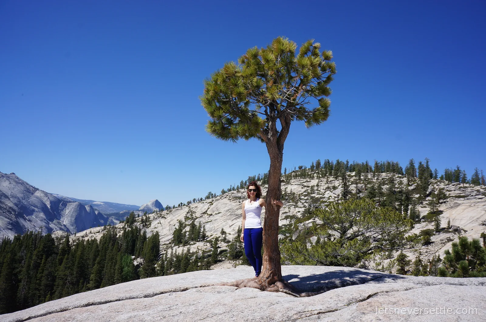 Inga beside a lone pine growing out of bare granite at Olmsted Point, with Half Dome visible in the far distance