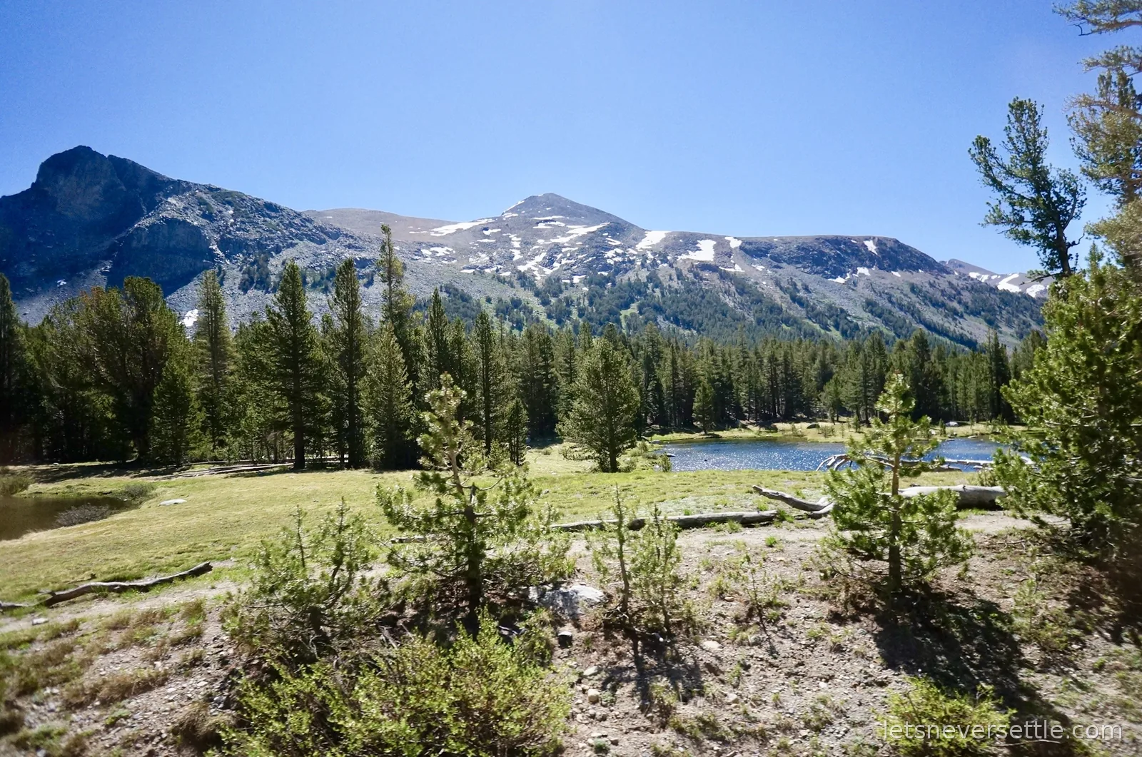 A small alpine lake ringed by pines below peaks streaked with June snow along Tioga Road